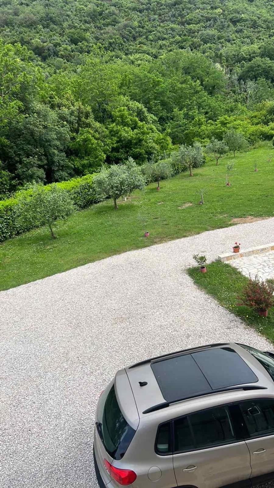 Apartment Elena Tivat Buitenkant foto