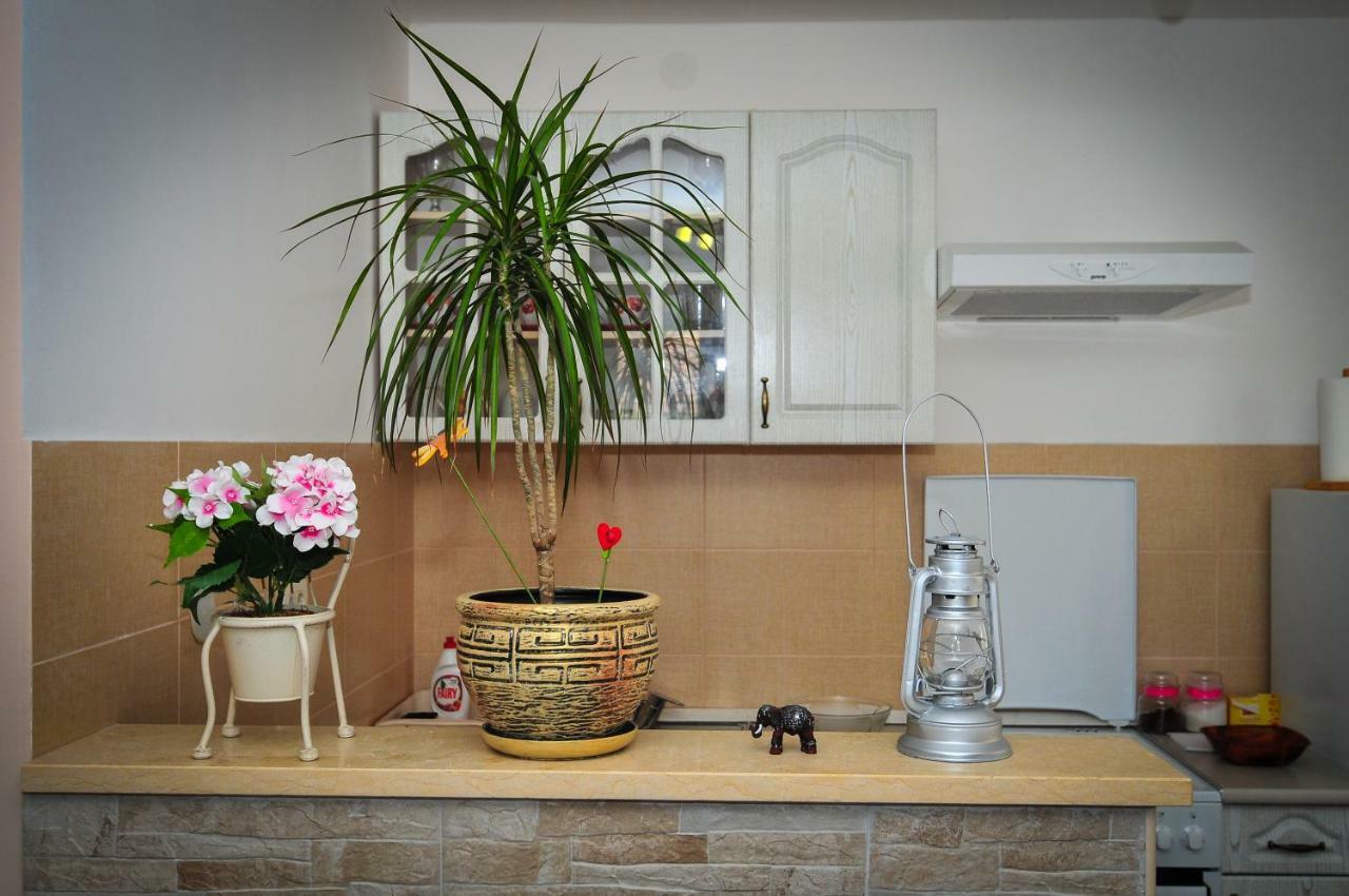 Apartment Elena Tivat Buitenkant foto